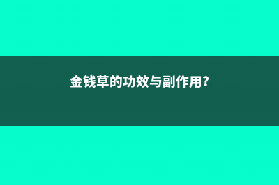 金钱草的功效与作用 (金钱草的功效与副作用?)