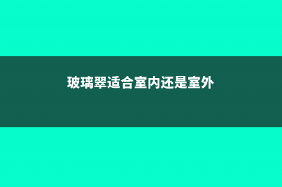 玻璃翠适合在室内养吗 (玻璃翠适合室内还是室外)