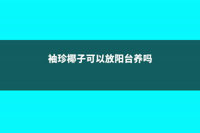 袖珍椰子可以放卧室养吗 (袖珍椰子可以放阳台养吗)