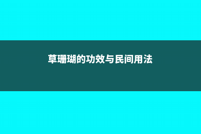 草珊瑚的功效与作用 (草珊瑚的功效与民间用法)