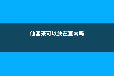 仙客来可以放在卧室吗 (仙客来可以放在室内吗)