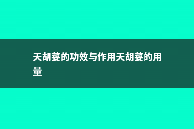 天胡荽的功效与作用 (天胡荽的功效与作用天胡荽的用量)