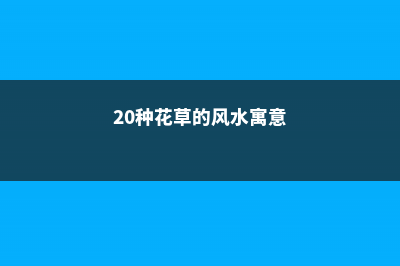 20种花草的风水意义，让你财源广进！ (20种花草的风水寓意)