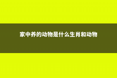 注意！家中养了萌宠别养这些花！ (家中养的动物是什么生肖和动物)