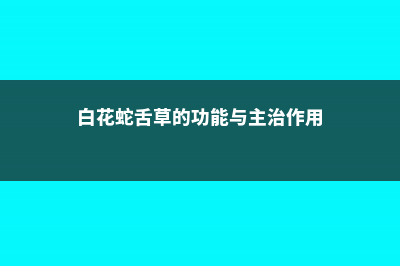 白花蛇舌草的功效与作用 (白花蛇舌草的功能与主治作用)