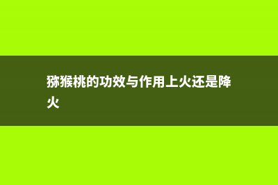 猕猴桃的功效与作用 (猕猴桃的功效与作用上火还是降火)