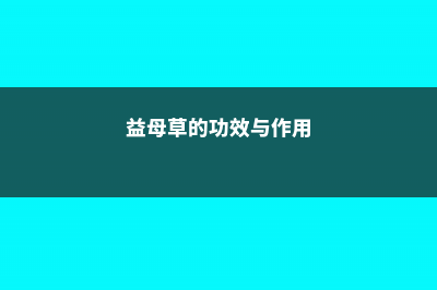 益母草的功效与作用 (益母草的功效与作用)