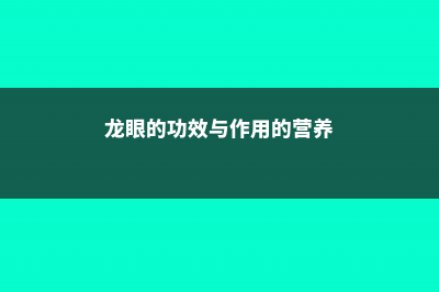 龙眼的功效与作用 (龙眼的功效与作用的营养)