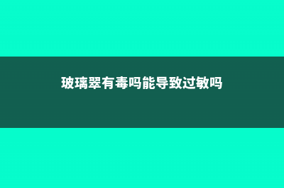 玻璃翠有毒吗 (玻璃翠有毒吗能导致过敏吗)