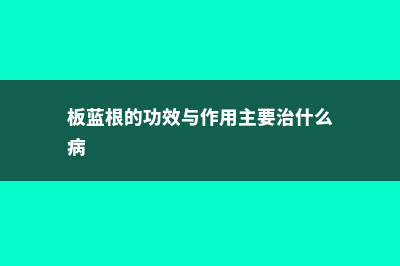 板蓝根的功效与作用 (板蓝根的功效与作用主要治什么病)