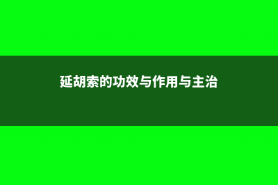 延胡索的功效与作用 (延胡索的功效与作用与主治)