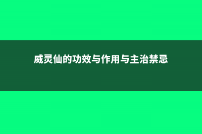 威灵仙的功效与作用 (威灵仙的功效与作用与主治禁忌)