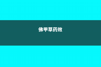 佛甲草的功效和作用 (佛甲草药效)