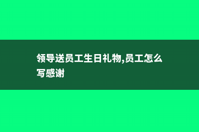 领导生日员工送什么花合适 (领导送员工生日礼物,员工怎么写感谢)