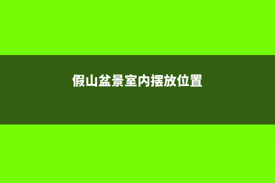 假山盆景室内摆放禁忌 (假山盆景室内摆放位置)