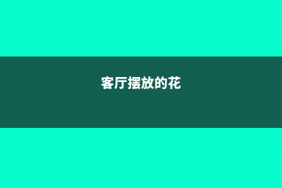 客厅摆上这些花,人旺,财旺,事业旺 (客厅摆放的花)