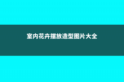 室内花卉摆放与空间搭配 (室内花卉摆放造型图片大全)