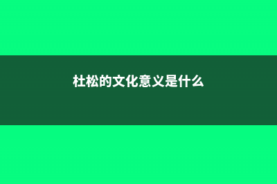 杜松的文化意义 (杜松的文化意义是什么)