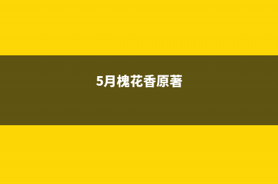 5月槐花香,各种吃法,款款让你流口水 (5月槐花香原著)