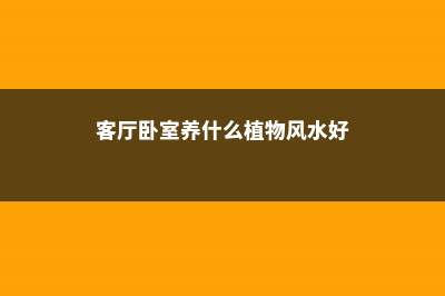 卧室客厅养花，养不对危害家人健康，不看后悔 (客厅卧室养什么植物风水好)