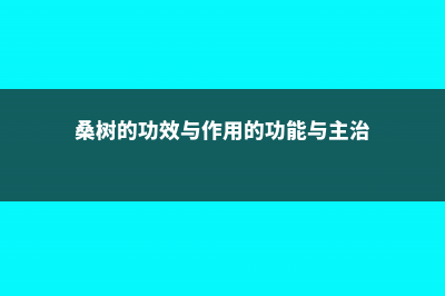 桑树的功效与作用 (桑树的功效与作用的功能与主治)