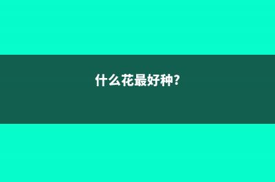 这5种花，最适合老人养，益寿延年身体棒 (什么花最好种?)