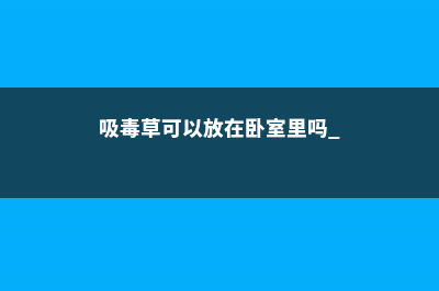 吸毒草可以放在卧室里吗 