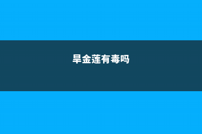 旱金莲有毒吗，可以家养吗 (旱金莲有毒吗)