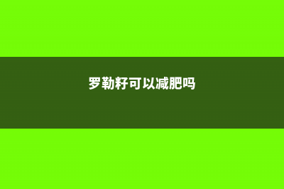 罗勒籽怎么吃 (罗勒籽可以减肥吗)