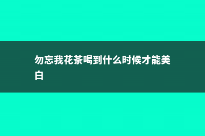 勿忘我花茶的饮用禁忌 (勿忘我花茶喝到什么时候才能美白)