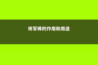 将军棒的作用 (将军棒的作用和用途)