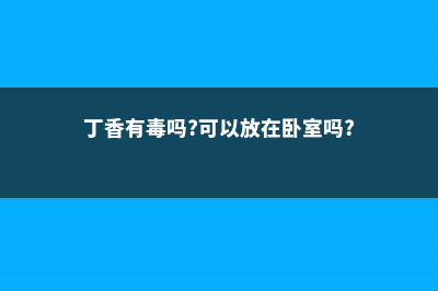 罗汉松的果实能吃吗 (罗汉松的果实能吃吗怎么样吃最好?)