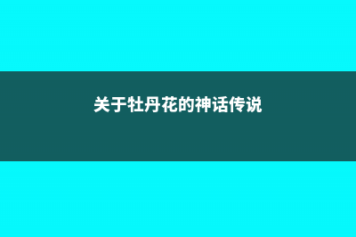 民间关于牡丹花养护的谚语 (关于牡丹花的神话传说)