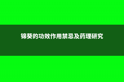 锦葵的功效和作用 (锦葵的功效作用禁忌及药理研究)