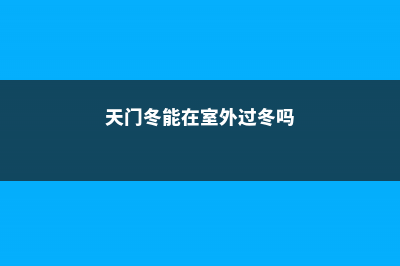 天门冬可以摆放在哪里 (天门冬能在室外过冬吗)