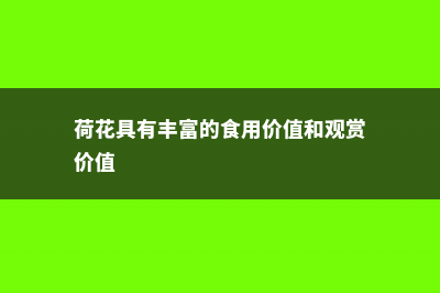 荷花有哪些价值 (荷花具有丰富的食用价值和观赏价值)