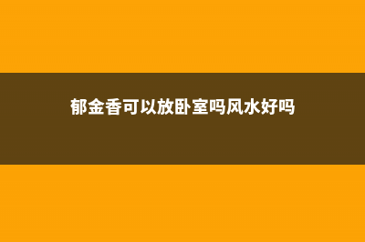 郁金香可以放卧室吗 (郁金香可以放卧室吗风水好吗)