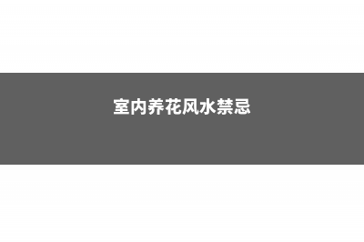 室内养花风水禁忌大全！不看吃大亏了 (室内养花风水禁忌)