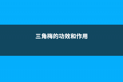 三角梅的功效和作用 (三角梅的功效和作用)