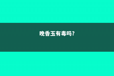 晚香玉有毒吗 (晚香玉有毒吗?)