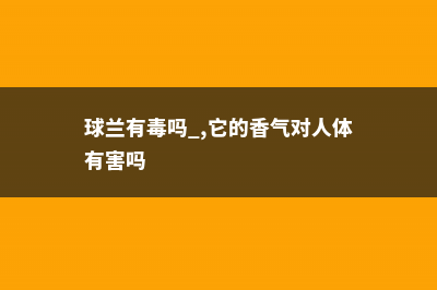 球兰有毒吗 (球兰有毒吗 ,它的香气对人体有害吗)