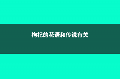 枸杞的花语和传说 (枸杞的花语和传说有关)