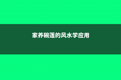 家养碗莲的风水学应用 (家养碗莲的风水学应用)