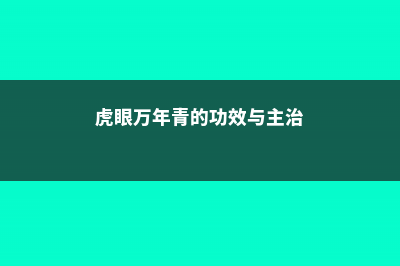 虎眼万年青的功效和作用 (虎眼万年青的功效与主治)