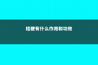 桔梗有什么作用 (桔梗有什么作用和功效)