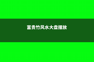 富贵竹风水大盘点，不懂你就吃大亏了 (富贵竹风水大盘摆放)