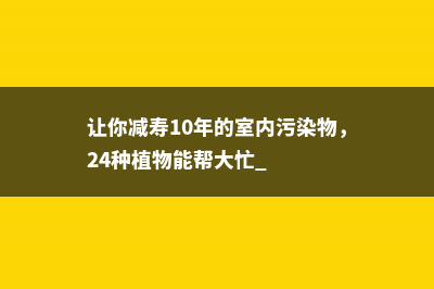 让你减寿10年的室内污染物，24种植物能帮大忙 