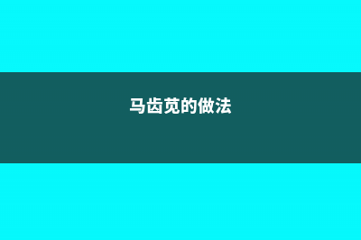 马齿苋的美味做法 (马齿苋的做法)