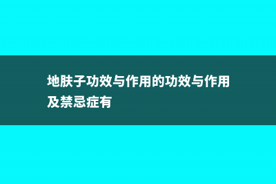 地肤的功效和作用 (地肤子功效与作用的功效与作用及禁忌症有)