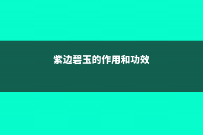 紫边碧玉的作用以及花语 (紫边碧玉的作用和功效)